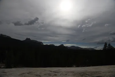 DSC_4462 (Large).JPG